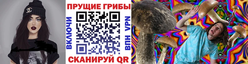 Псилоцибиновые грибы MAGIC MUSHROOMS  даркнет сайт  Североморск 