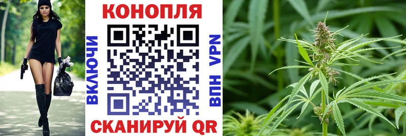 Шишки марихуана план  купить наркотики сайты  площадка наркотические препараты  Североморск  KRAKEN ONION 